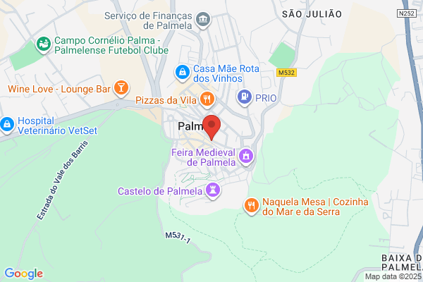 Carla A M Batista Fino