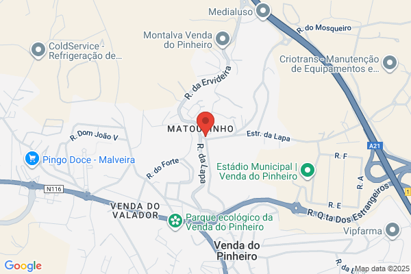 David Mesquita Ramos