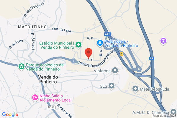 Francisco Jesus Ribeiro Dias