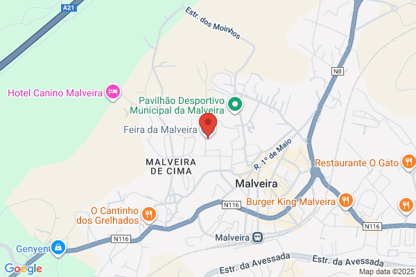 Rosalia Maria Filipe Henriques