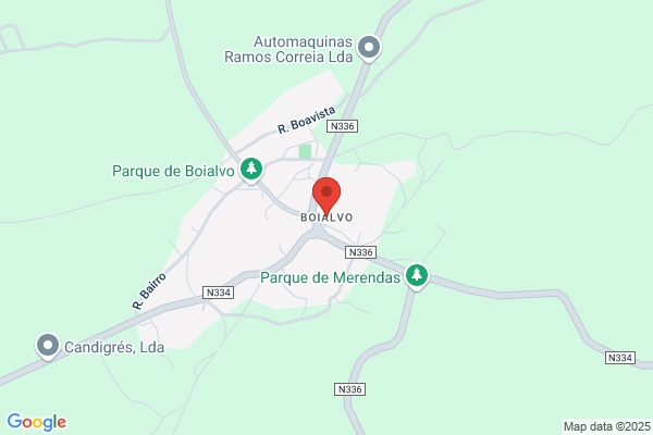 Eduarda M T P Marinelli Matos