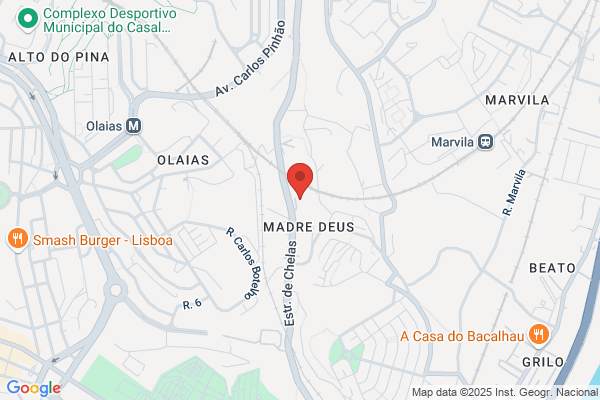 Carlos M Lopes Tavares