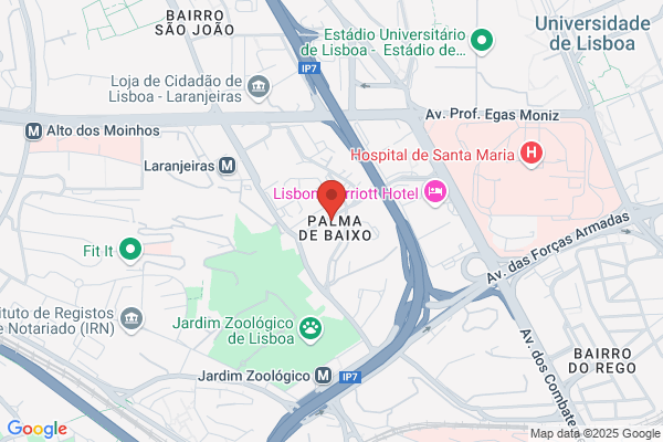 M G M Consultores-Consultadoria Estudos E Projectos. lda