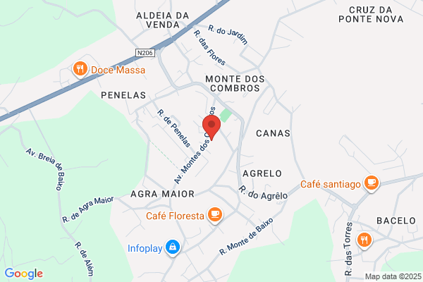 Adelino Sá Padrão