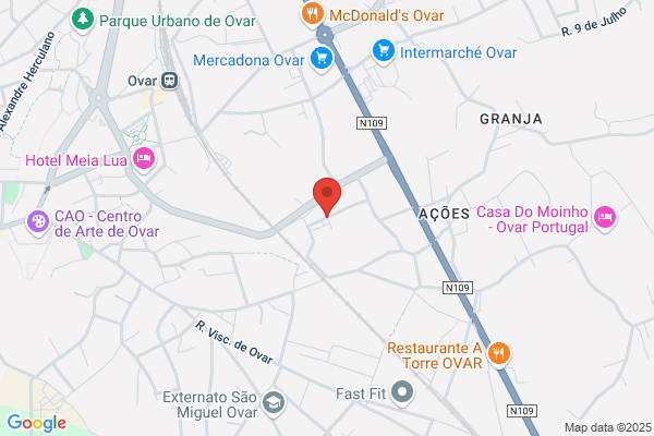 Manuel Silva Lopes