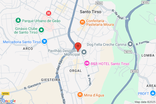 Pedro M C Santarém Correia