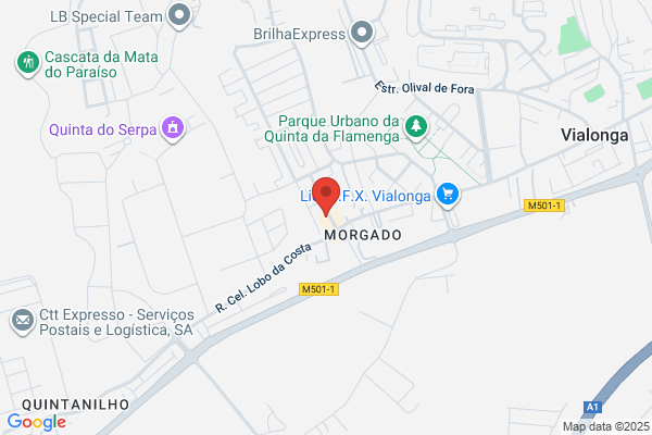 Daso M Bexiga Catarino