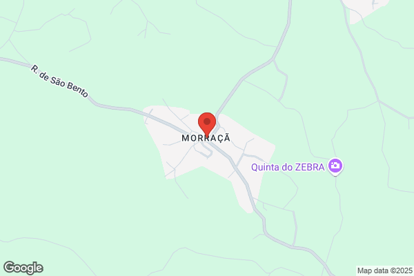 Carlos A Chaves Monteiro