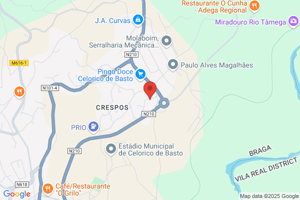 Elsa C D F Pimenta Ribeiro