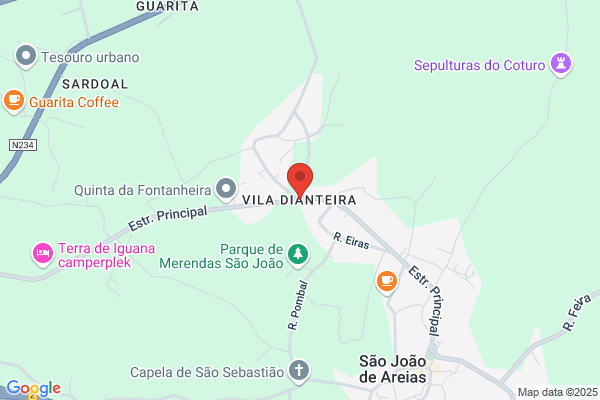 Maria C Borges Figueiredo