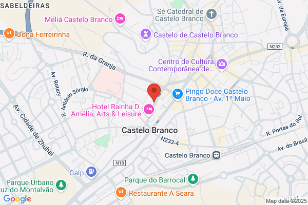 Academia De Musica