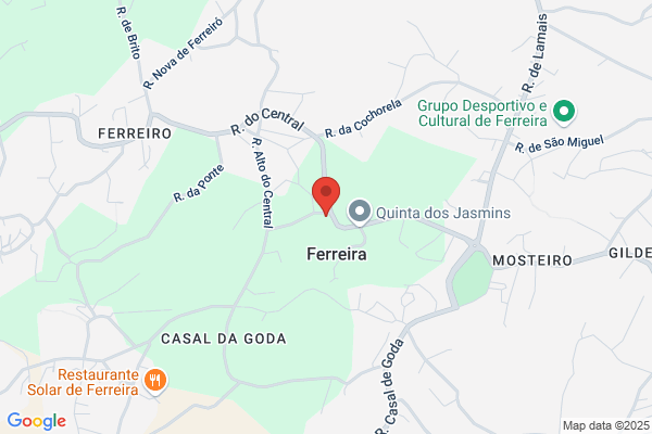Antanio Fernando Leal Ribeiro