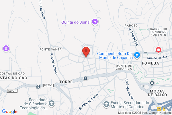Cooperativa De Ensino Superior Egas Moniz. Crl
