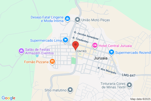 M Helena S Avelar Silva