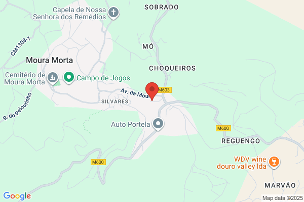 Sociedade Turôica Cerca Rvores Lda