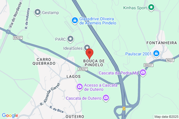 Bosch Car Service Auto Pinho