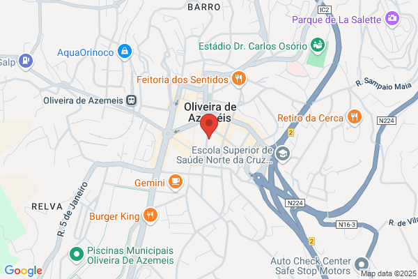 Maria M Oliveira Freire