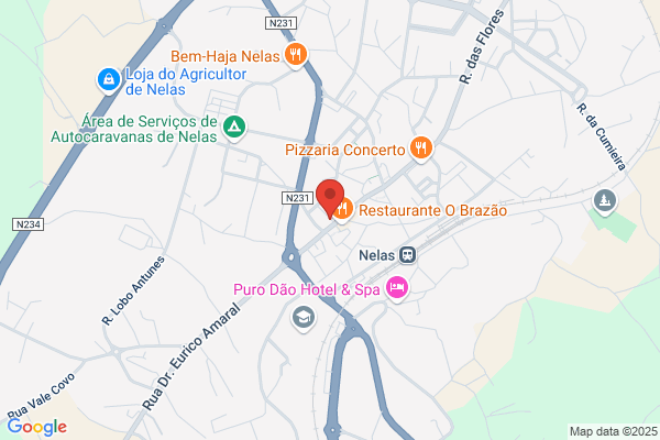 Maria F A Pereira Figueiredo
