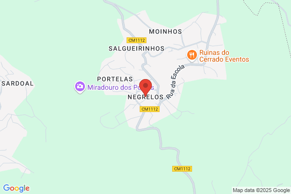 Carlos Gonialves Rocha Ribeiro