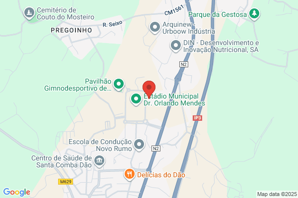 Pedro J B Gonçalves Viana
