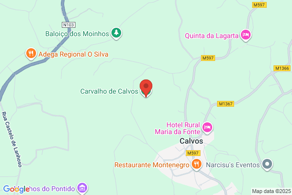Cabeis De Carvalho