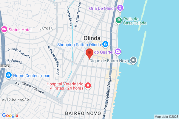 Olinda C Marques Sousa