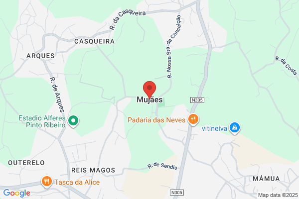 Maria H O Viana Miranda