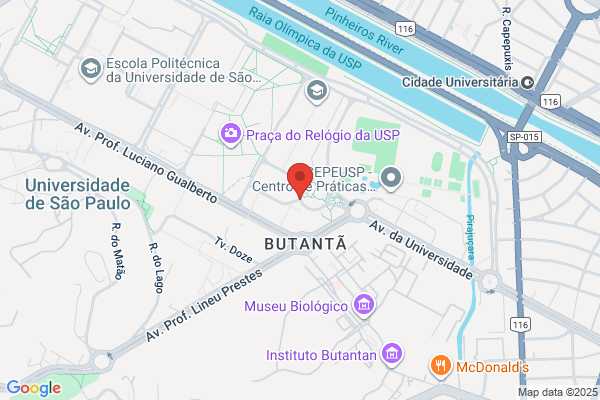 Adriano M Marçalo Bastos