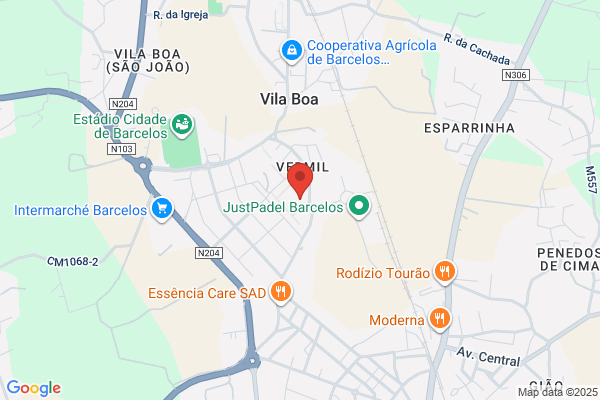 Rui Pestana Fernandes-Sociedade De Mediaï Imobiliéa Lda