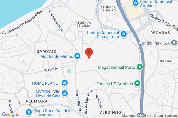 Carla M T Pereira Bastos
